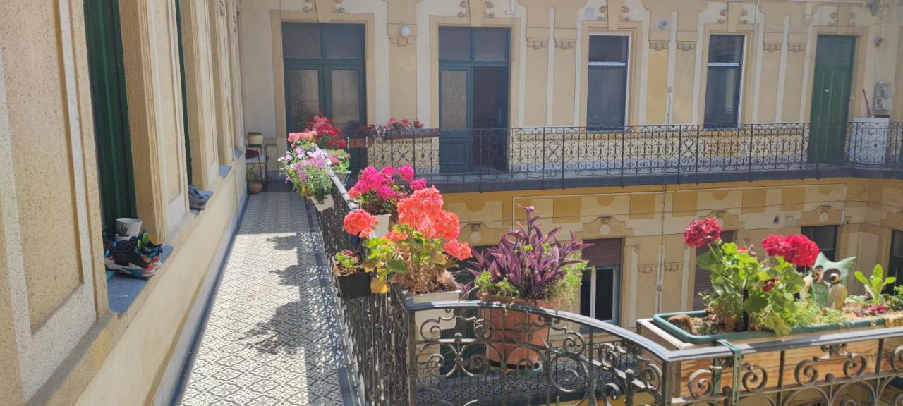 Congress Margit House Daire Budapeşte Dış mekan fotoğraf